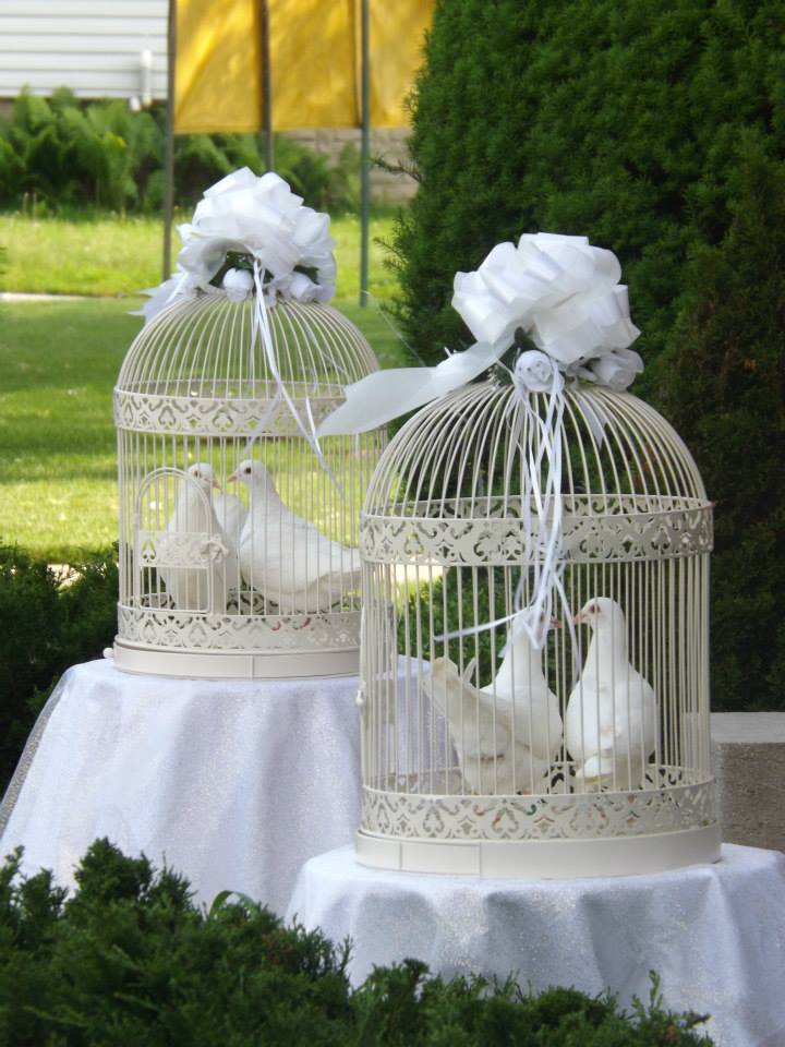 Love A Dove White Wedding Release Service St Thomas London Love A Dove Serving St Thomas And South London