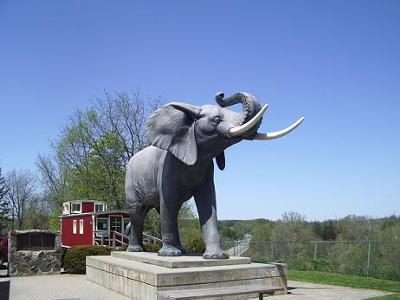 Statue of Jumbo at west end of St Thomas