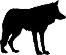 silhouette of Wolf