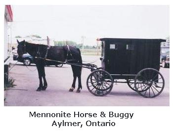 Mennonite horse and buggy in Aylmer Ontario