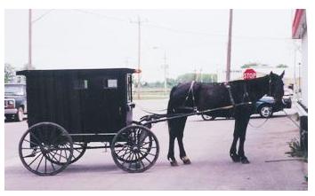 Mennonite horse and buggy waiting at the Co-op in Aylmer Ontario