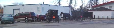 Mennonite Horses, Ontario