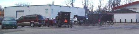 Mennonite Horses at grocery store, Aylmer, Ontario