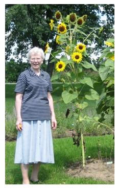 Heritage Line Herbs, sunflowers and customer