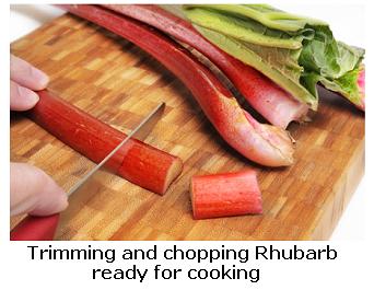 Preparing rhubarb