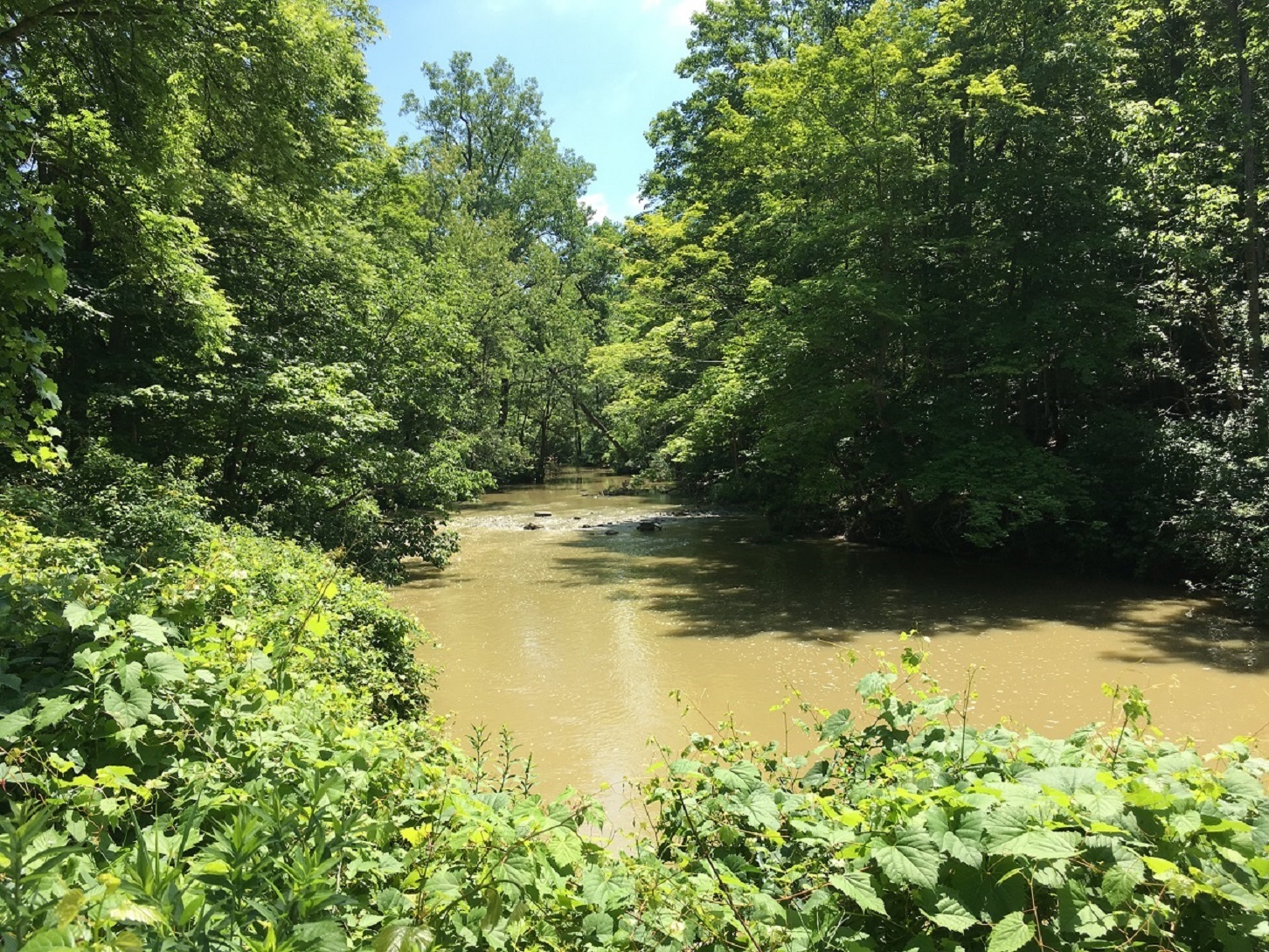 The river at 42815 Beck Line, St Thomas