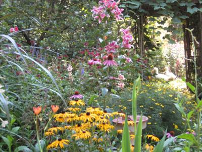 Gardens at Arden Pottery