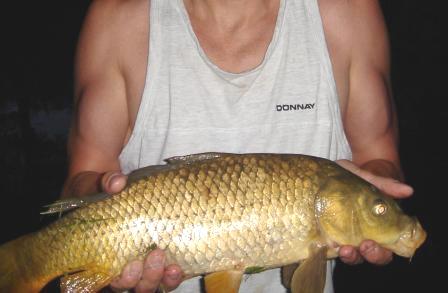 large Carp caught in Kettle Creek, help by the man who caught it, St Thomas, Ontario