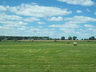 Rural Scenery, Southern Ontario