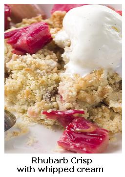 delicious rhubarb dessert