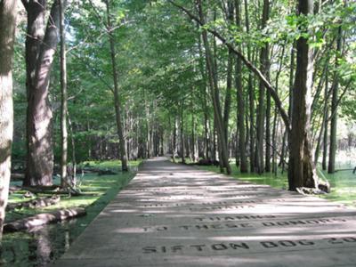 Sifton Bog, London, Ontario