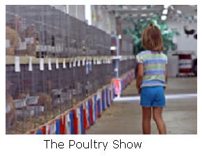 Poultry Show - Simcoe, Ontario