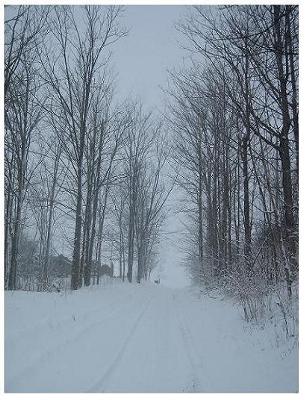 Snowmobile trail