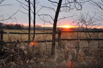 Spring Sunset
