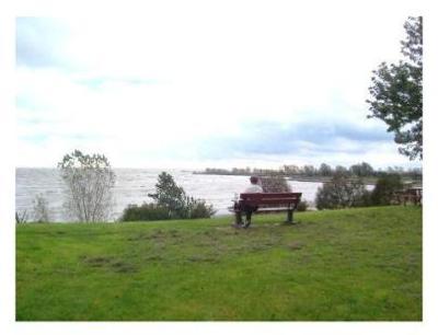 Overlooking Lake Erie at Port Bruce