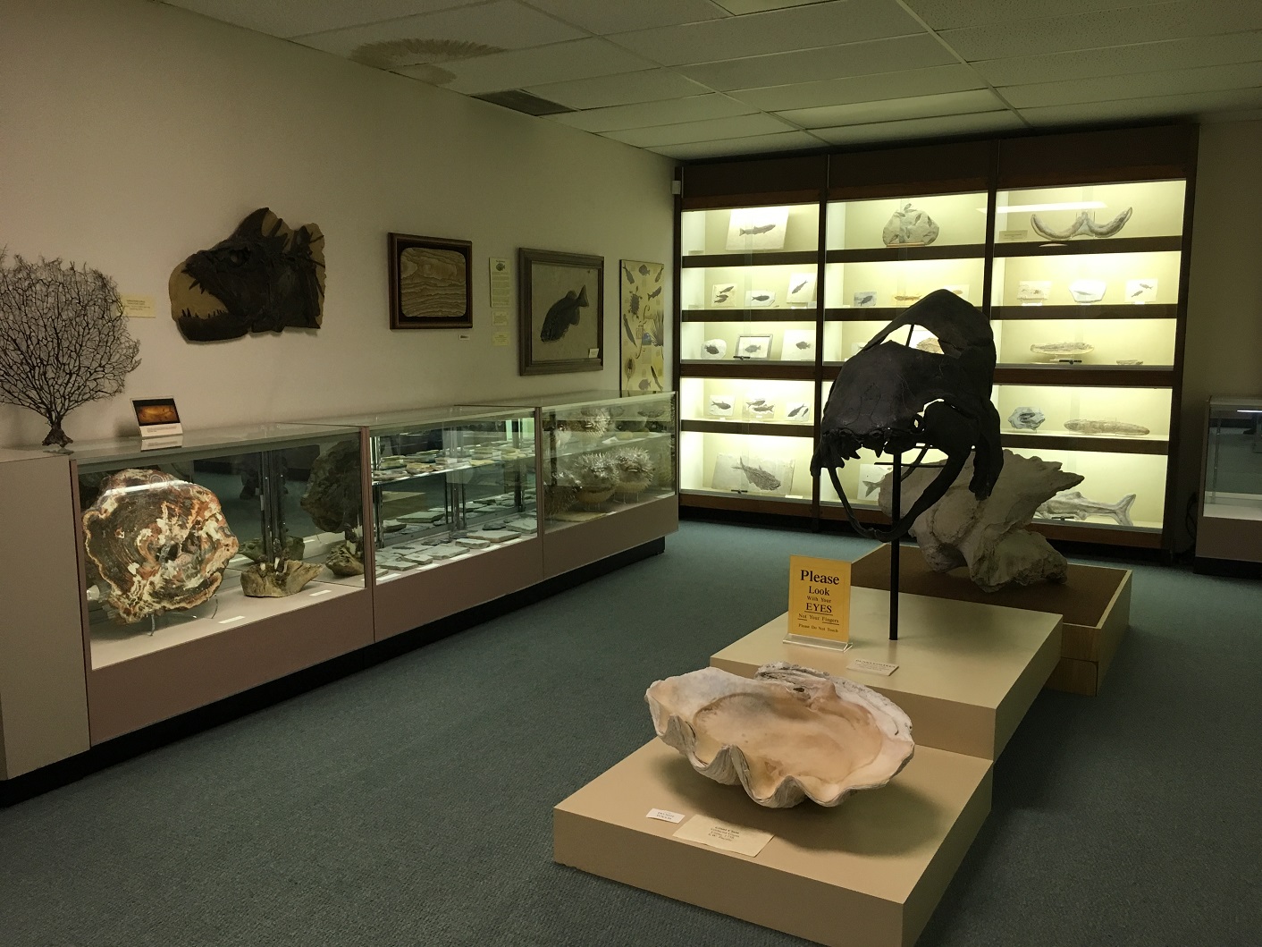 Stones & Bones Museum Sarnia