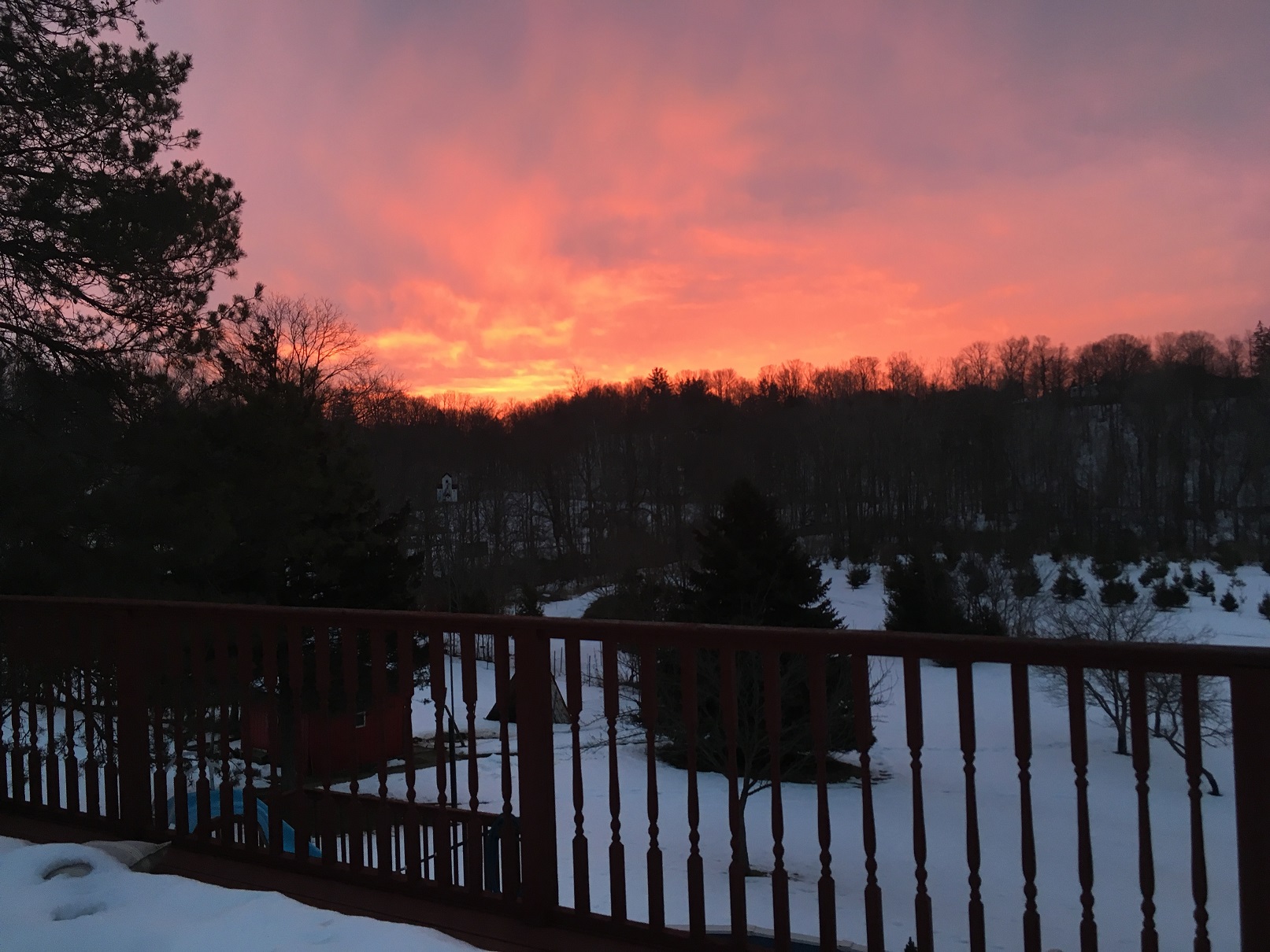 Winter sunrise over the field and goat pen, Central Elgin, Ontario