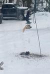 Squirrel on bird feeder