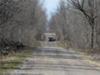 The truck just before coyote encounter (on the right)