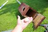 Wood duck box nest and egg