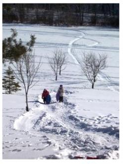 Winter in Ontario - tobogganing