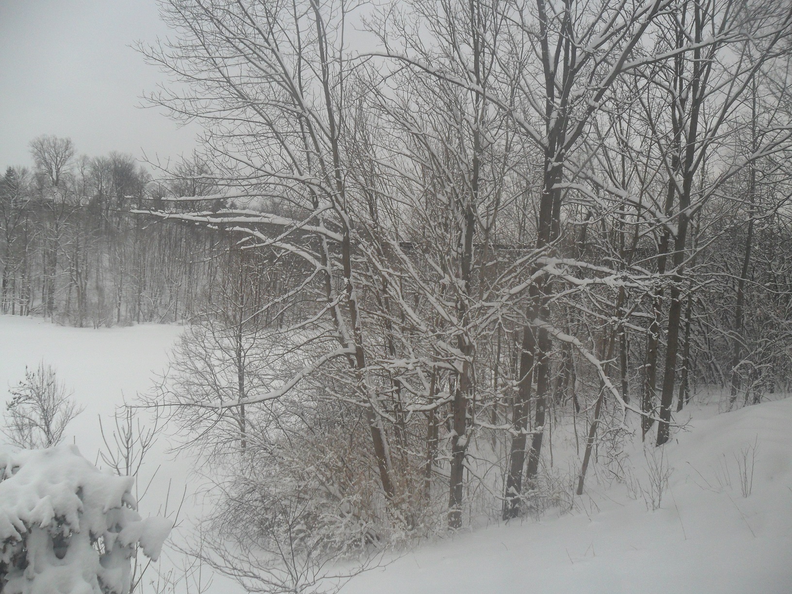 Winter wonderland from bedroom window, Beck Line house, St Thomas, Canada