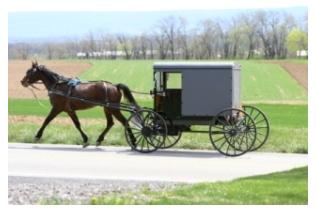 Mennonite Horse and Buggy in Ontario