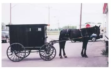 Mennonites in the town of Ontario