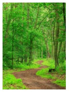 Hiking Southern Ontario