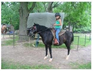 black horse with young rider and tent in background