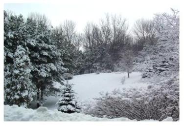 Southern Ontario in winter, crisp and cold snow