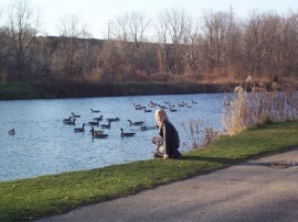 Watching the geese in Waterworks Park, St Thomas