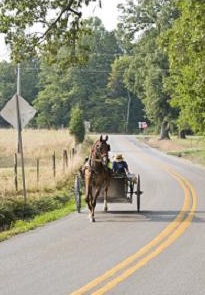 Amish horse and buggy driving down country road