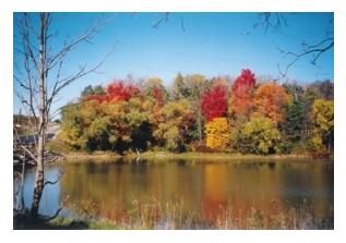 Dalewood Lake and Conservation Area, St Thomas, Ontario