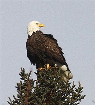 What a fine fellow!