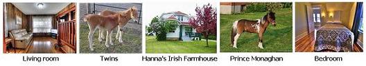 Hanna's Irish Farm House