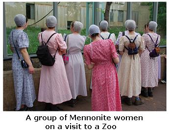 Mennonite Women at the Zoo