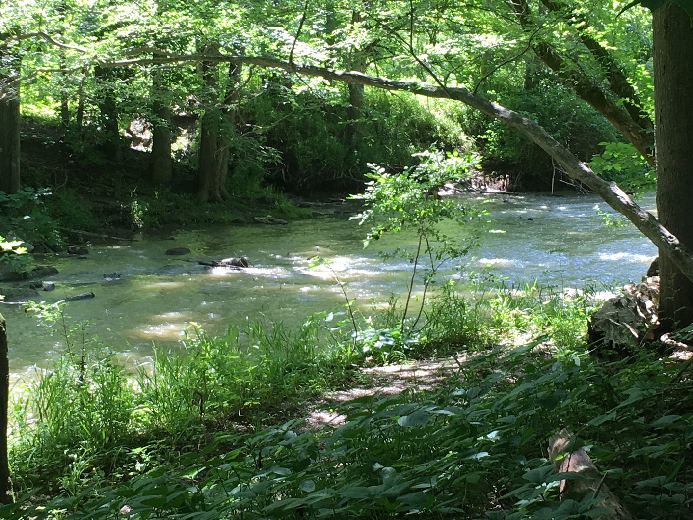 Kettle Creek at 42815 Beck Line, St Thomas Kettle Creek at 42815 Beck Line, St Thomas