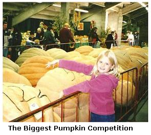 Simcoe Fall Fair - pumpkin competition