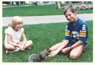 Grey Squirrel with children, Victoria Park, London