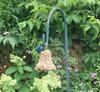 Indigo Bunting at the feeder