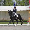 Equestrian Dreams - Dressage