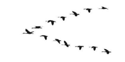 Flying Geese migrating south for the winter