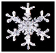 Snowflake of Winter in Ontario