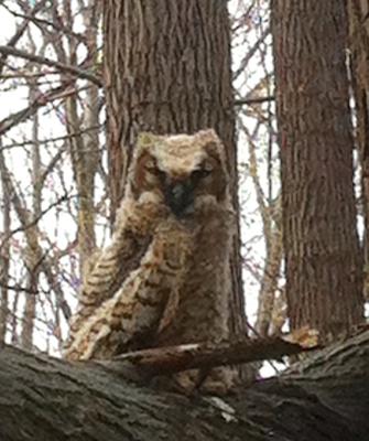 In Wheatley Provincial Park 